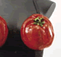 Tomato Bustier